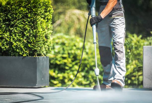 Best Animal Enclosure Cleaning  in Corning, NY